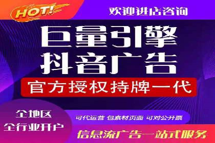 信息流广告精准投放：成功案例展示